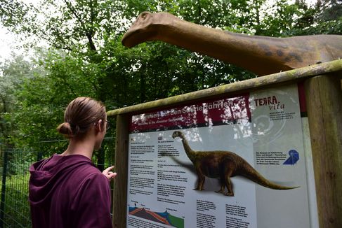 Dinosaurussen in Natuur- en Geopark TERRA.vita