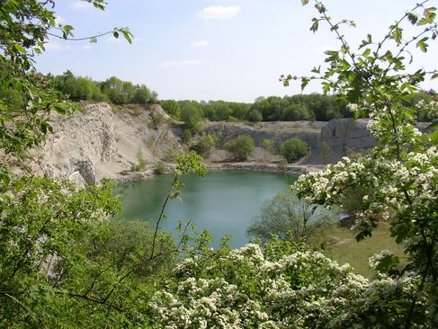 Natuurgebied Waldhügel bij Rheine