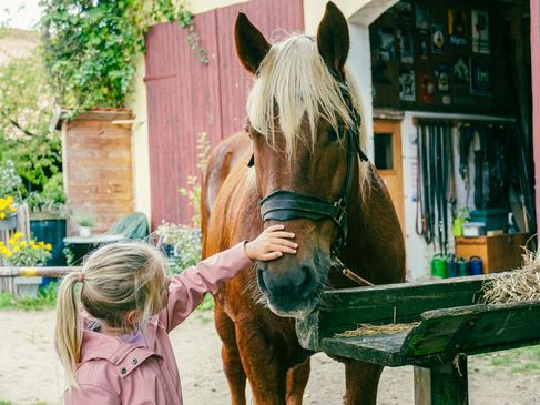 Geheim weekendje weg: Even het paard aaien