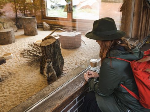 Op pad met de ranger in Tierpark Nordhorn - Stokstaartje van dichtbij bekijken