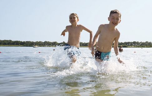 Waterpret in de Lohner See