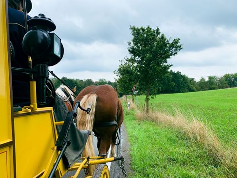 Geheim weekendje weg: Met de postkoets het Tecklenburger Land verkennen