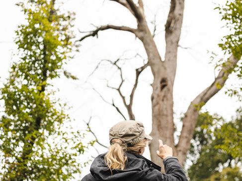 Uitleg van de ranger in het Bentheimer Hute- und Schneitelwald - spechtholletje