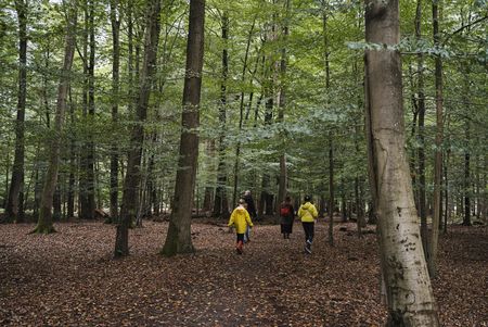 Op pad met de ranger - sporen zoeken in de natuur