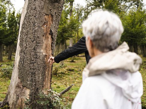 Uitleg van de ranger in het Bentheimer Hute- und Schneitelwald