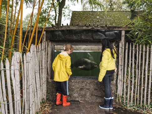 Op pad met de ranger in Tierpark Nordhorn - Oog in oog met een zeehond