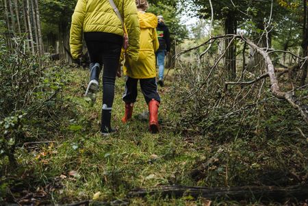 Kinderen op pad met de ranger in het Bentheimer Hute- und Schneitelwald